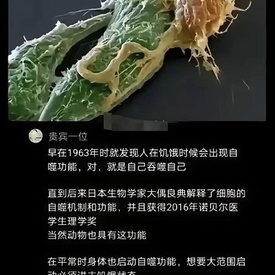 适度饥饿更健康