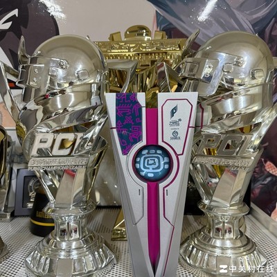 大17与PGS奖杯争议