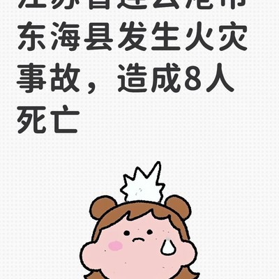 东海县烟花事故引发讨论