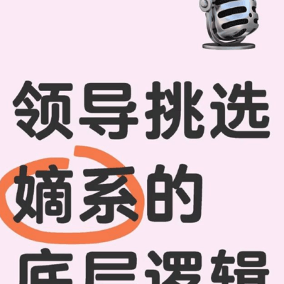 领导嫡系养成记