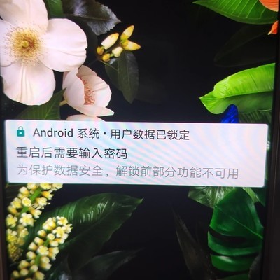 华为Mate10 Pro锁屏密码异常