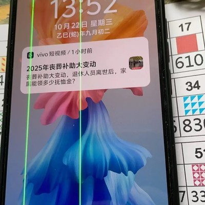 vivo X60激活时间争议