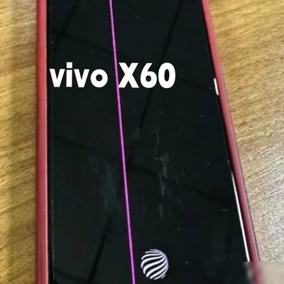 vivo X60花屏维权难
