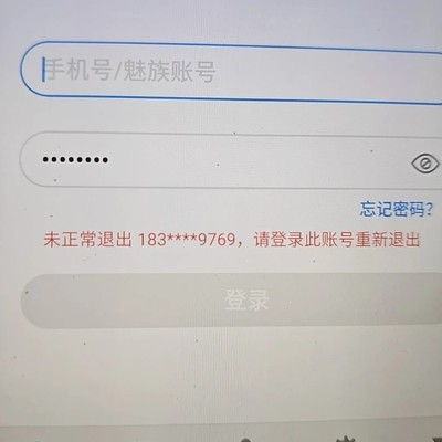 魅蓝U20显示异常原因