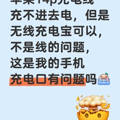 iPhone 14 Pro充电口故障