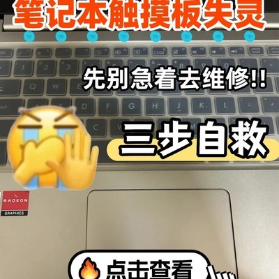 笔记本触摸板失灵自救指南