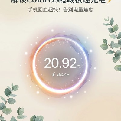 ColorOS智能极速充电技巧