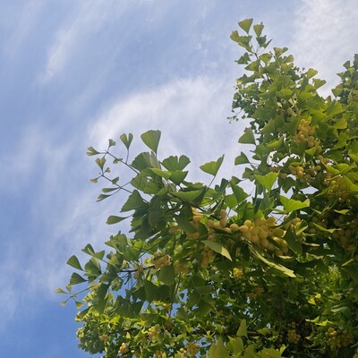 27岁买车买房是否算成功