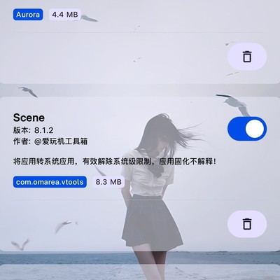 Magisk清理模块如何实现低开销？