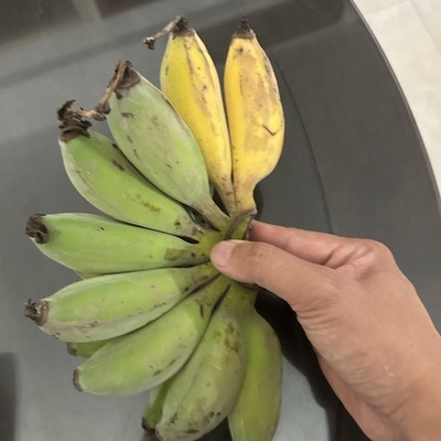 哈登东决表现对生涯影响