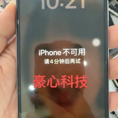 iPhone XSMAX忘密码保数据