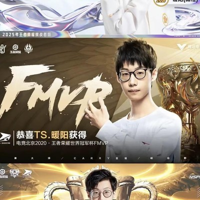 暖阳带队实力解析