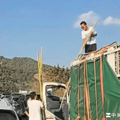 高速堵车卖甘蔗