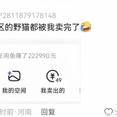 社会生活中的意外发现