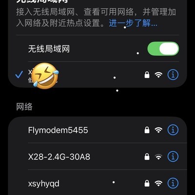 iPhone查看已连接Wi-Fi密码