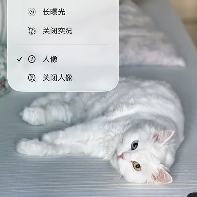 iPhone相册Live卡顿内存是主因