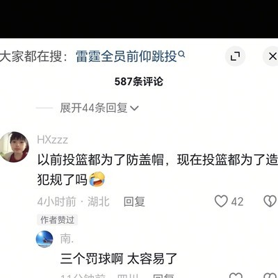 篮球裁判争议与观众认知