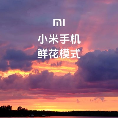 小米鲜花模式拍照技巧