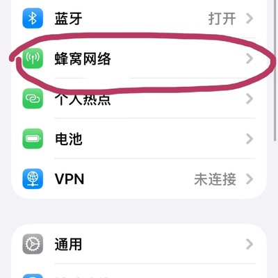 iPhone手动切换4G教程