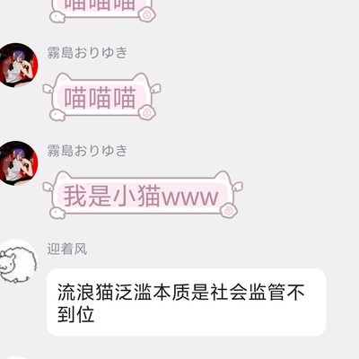 小区流浪猫问题引发热议