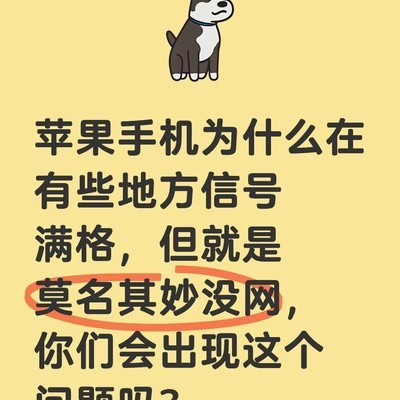 苹果手机信号满格却无网络