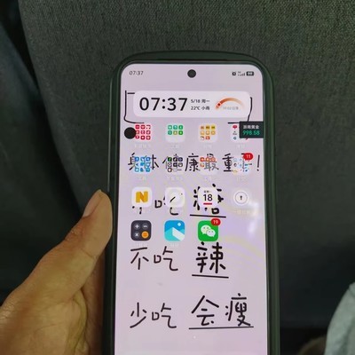 vivo S30屏幕异常黑圆