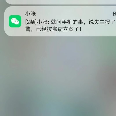 捡手机盗刷资金构成盗窃罪
