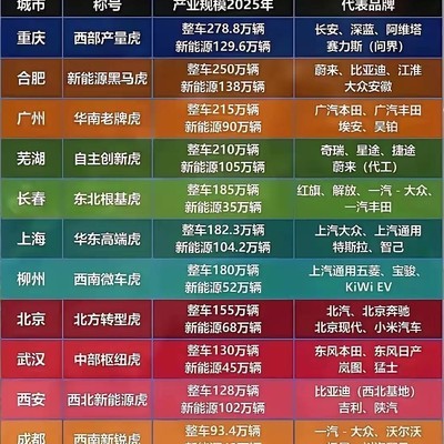 中国汽车制造十二强