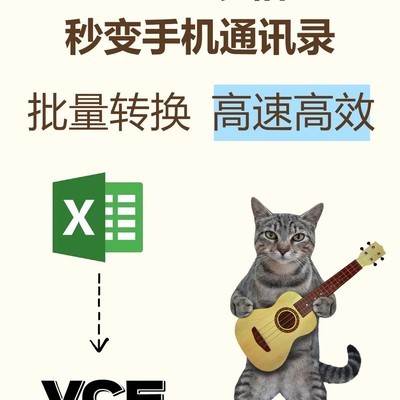 Excel通讯录一键转VCF