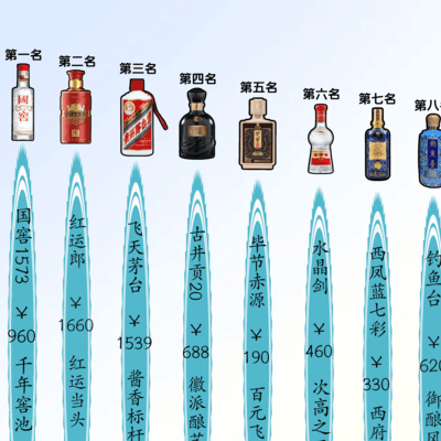 白酒体质内排名