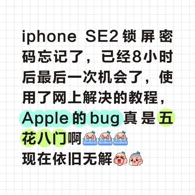 iPhone SE2锁屏密码失效解锁困境