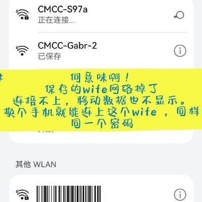 鸿蒙系统WiFi连接异常