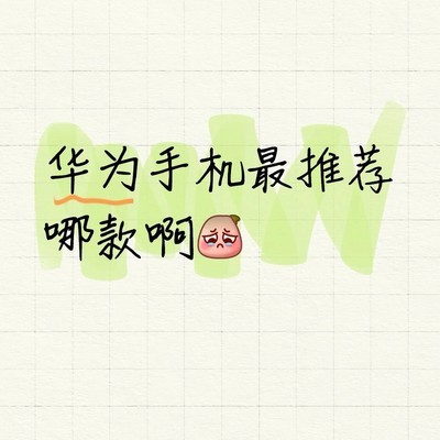 华为哪款机型性价比最高