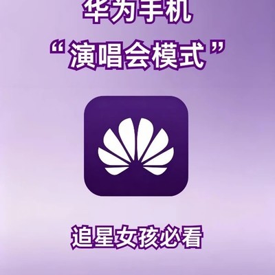 华为演唱会拍照参数指南