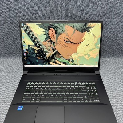17寸微星游戏本RTX3060