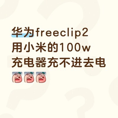 耳机能否使用100W充电器