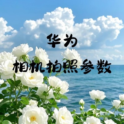 华为原相机专业调色参数