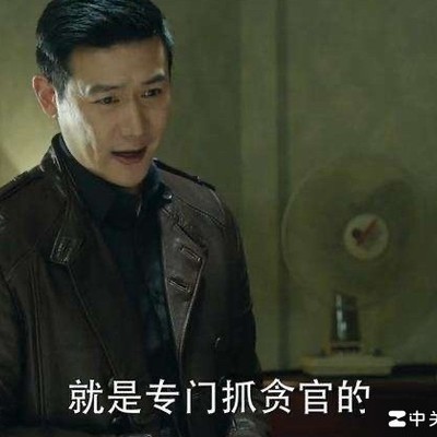 陆毅人民的名义表现争议