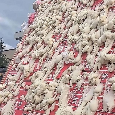 民俗高考，面团寄希望