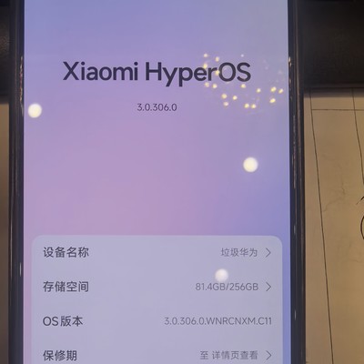 改个名称都被制裁