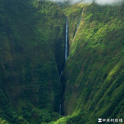 为要儿子是否该离婚