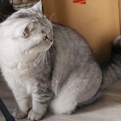 摄影中如何捕捉主角感？