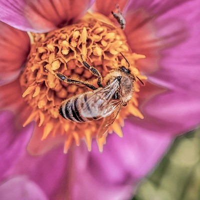 更新澎湃3.0后的拍照