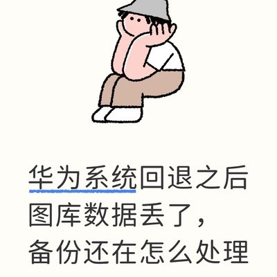 华为鸿蒙回退后图库数据丢失
