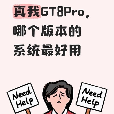 真我GT8Pro系统版本选择