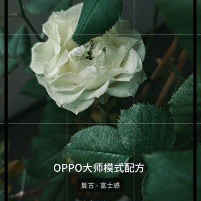 OPPO金标系统一键导入滤镜