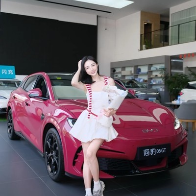 海豹06GT，年轻人的全能座驾