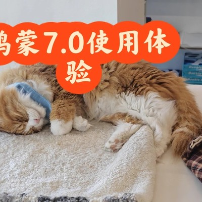 鸿蒙7.0升级体验
