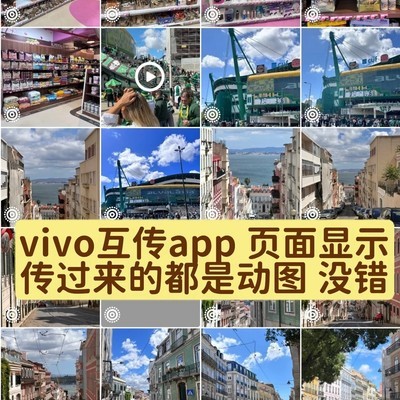 vivo互传动图变静态问题