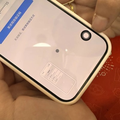 iPhone 17 Pro屏幕异常黑圈